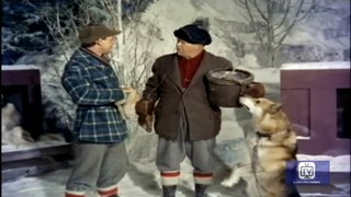 Sergeant Preston of the Yukon | Season 1 | Episode 17 | Dog Race | Dick Simmons | Yukon King