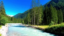 Relaxing nature music, Water Sounds, Birds Singing, River, Relaxing Music, Peace, Calm , stress relief  4k video