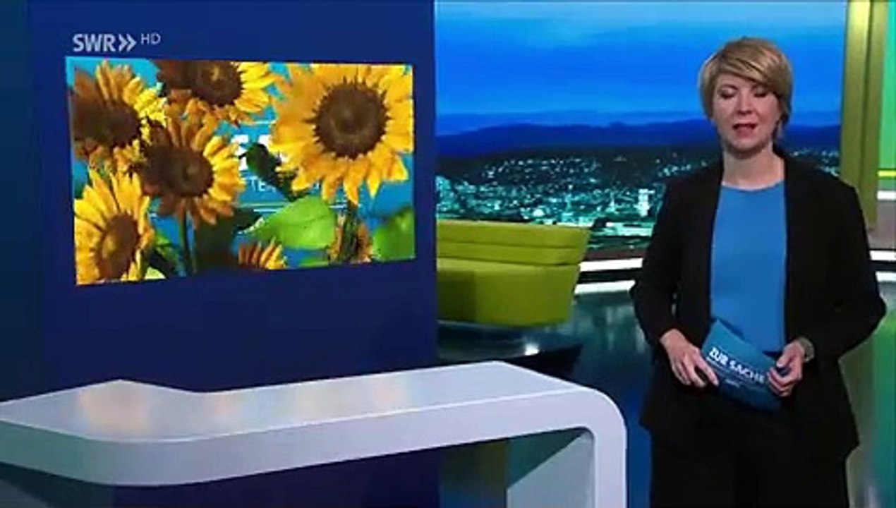 Das_letzte_Wort__Das_Duell