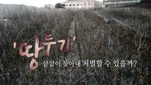 [영상] 땅 투기 샅샅이 찾아내 엄벌할 수 있을까? / YTN