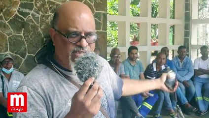 Fermeture d'Alteo : pointe de presse de Union of Artisans & Allied Workers of the Cane Industry