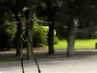 Démon du Rire Pictures - Caca Coulant