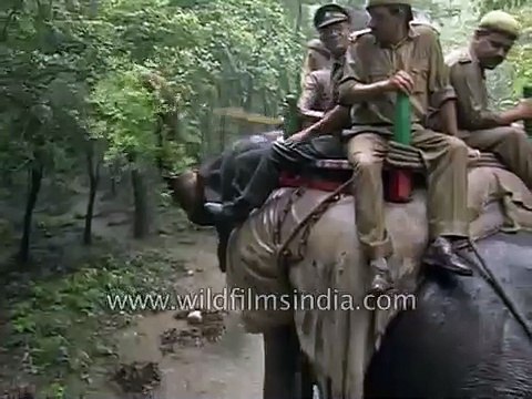 Forest officials on rainy Elephant patrol in India, with bearded Muslim mahout