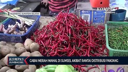 Cabai Merah Mahal Di Sumsel Akibat Rantai Distribusi Panjang