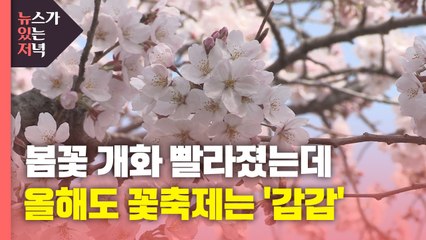 [뉴있저] 봄꽃 개화 빨라졌는데...올해도 꽃축제는 '감감' / YTN