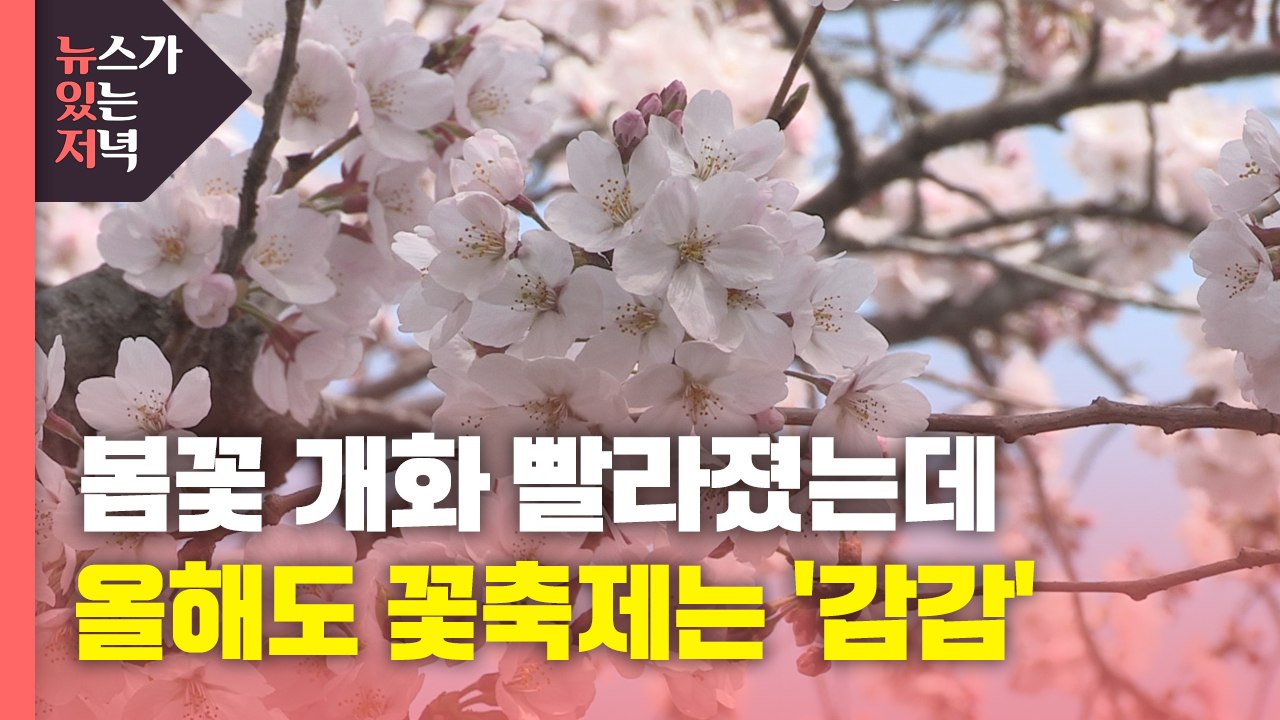 [뉴있저] 봄꽃 개화 빨라졌는데...올해도 꽃축제는 '감감' / YTN