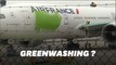 Greenpeace repeint un avion en vert contre le 