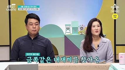 [예고] 샤우팅&던지기 콤보! 문제상황 종합세트 끝판왕 금쪽이 등장