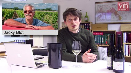 À Montlouis-sur-Loire, une nouvelle génération de vignerons à la hauteur