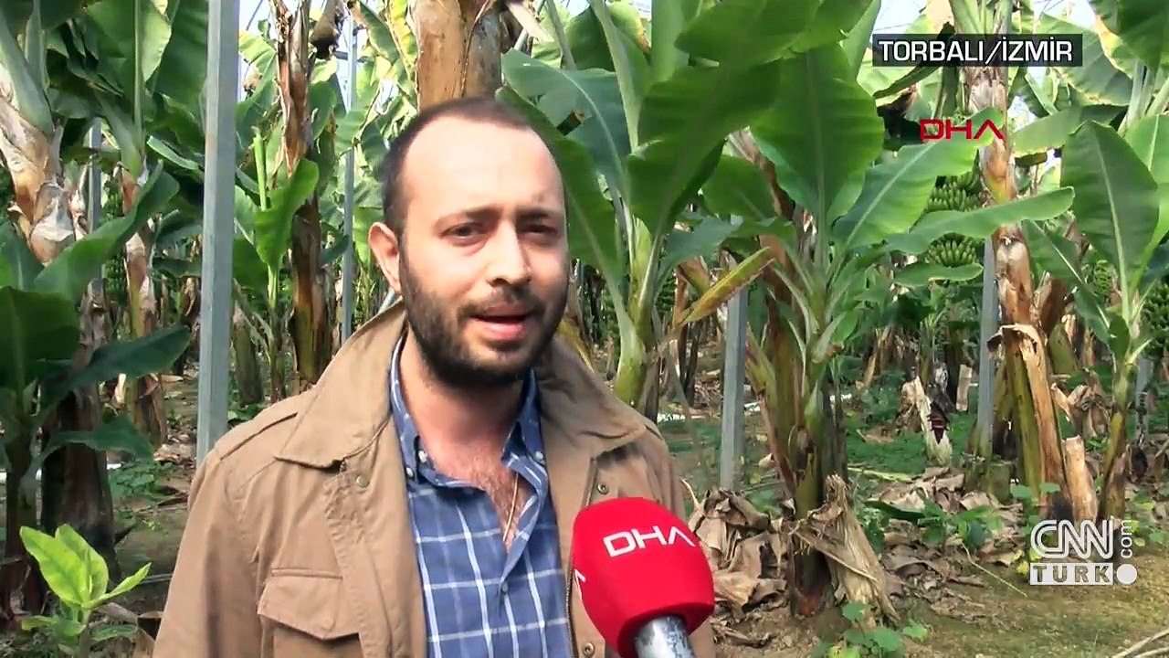 Yerli muzda Akdeniz'e rakip çıktı