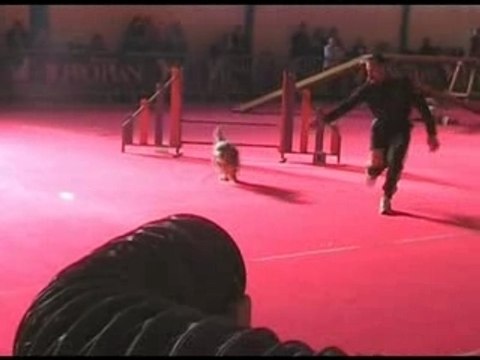 Concours st dizier 24 02 08 bounty