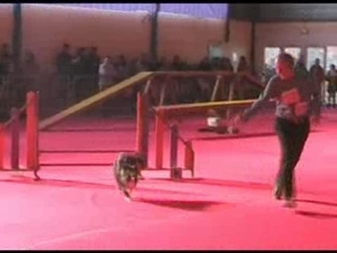 Concours st dizier 24 02 08 be-pop