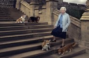 Rainha Elizabeth ganha dois cães de presente em meio à crise na realeza britânica