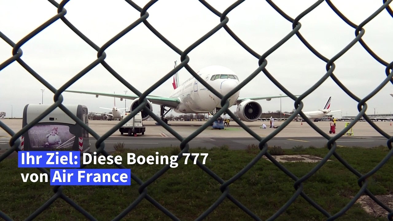 Greenpeace streicht Air-France-Maschine grün an