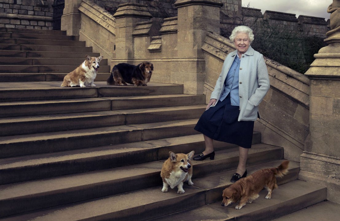 Königin Elizabeth II. ist die stolze Besitzerin von zwei neuen Corgis!