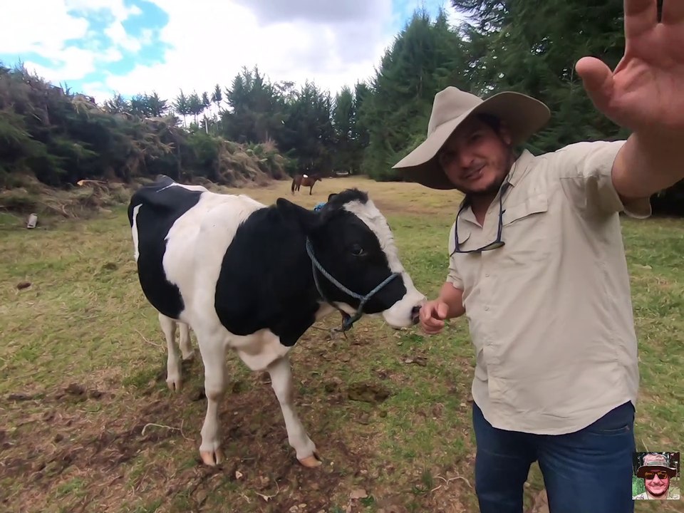 Como cuidar a un toro 2021 / cuidados de un toro !!!