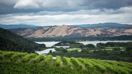 Ninety Years Later, Pasadena Is Making Wine Again, and Yes, It’s Funky