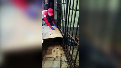 ext-intento-de-fuga-050321