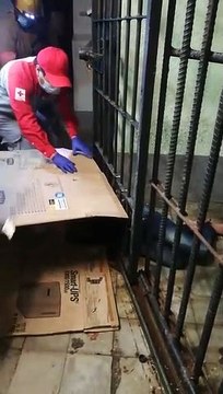 Rescatan mujer que se quedó atrapada en rejas de celda policial cuando intentó escapar