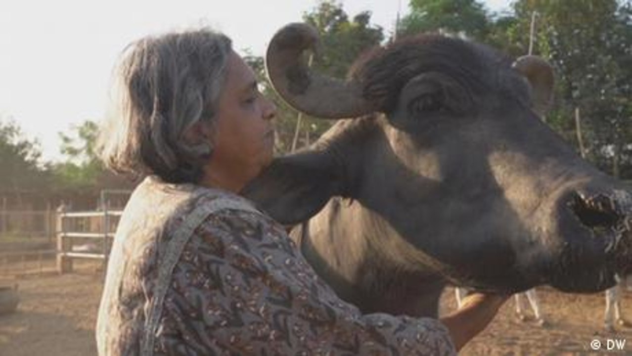 Caring for people and animals