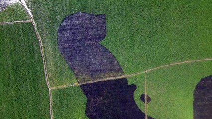 Giant portrait of Bangladesh's founding leader heightens nationalistic fervour