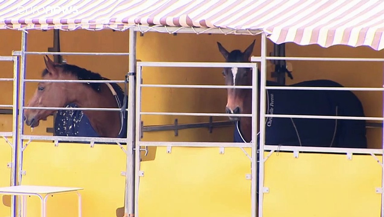 Virus-alarm im pferdestall