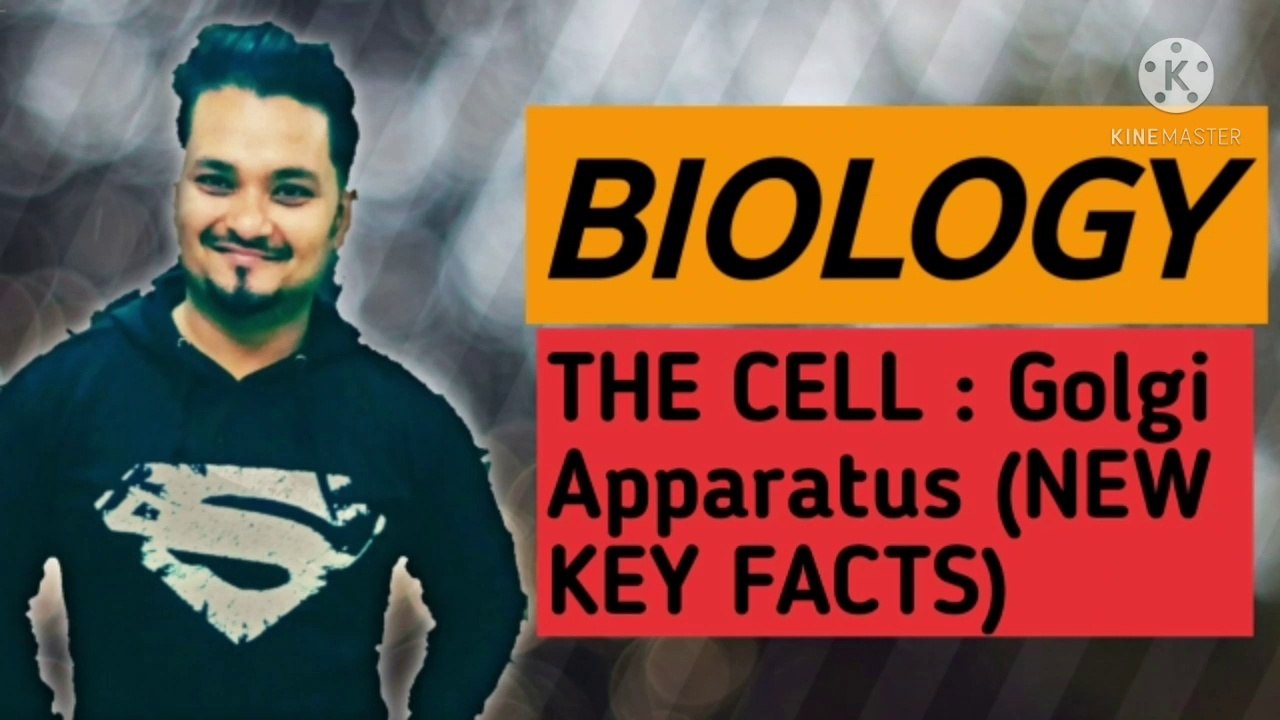 BIOLOGY:THE CELL:GOLGI APPRATUS EXPLAINED.