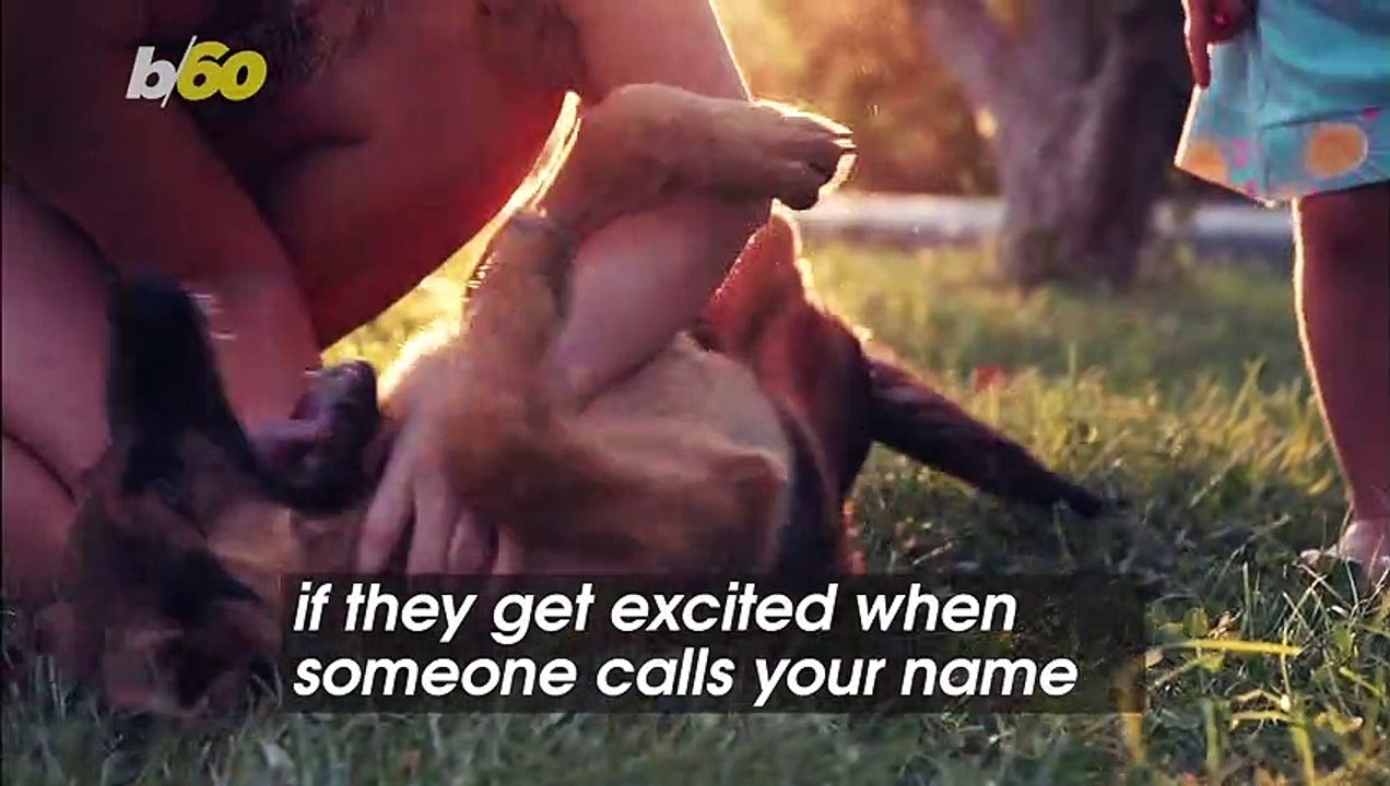 Your Dog or Cat Might Be Doing These Certain Things To Show How Much They Love You