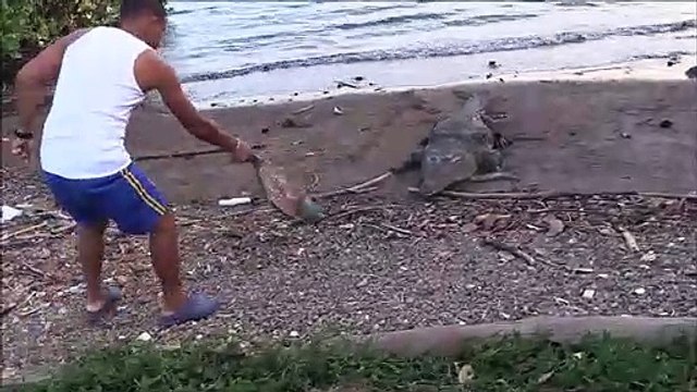 Ce russe joue avec un crocodile sauvage de 5m... Risqué