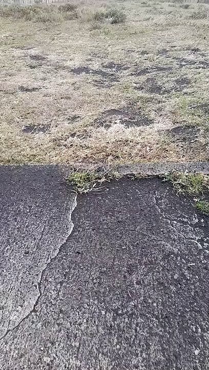 Volcán de Pacaya