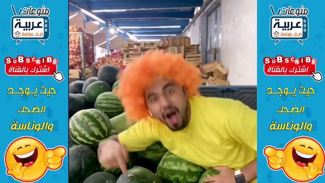 اشبع ضحك الكلب مزنوق اقوى ضحك مقاطع مضحكة 2021_HD