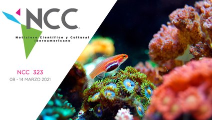 Noticiero Científico y Cultural Iberoamericano, emisión 323. 08 al 14 de marzo del 2021