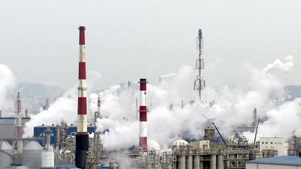 온실 가스 0 '탄소 중립' 2050년 목표 '가속도' / YTN