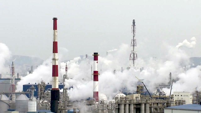 온실 가스 0 '탄소 중립' 2050년 목표 '가속도' / YTN