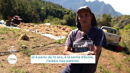 La Réunion - La lentille de Cilaos