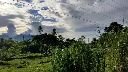 Fresh Air