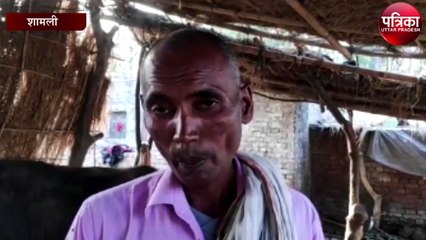 भैंसा चोरी के बाद किसान ने की डीएनए टेस्ट की मांग