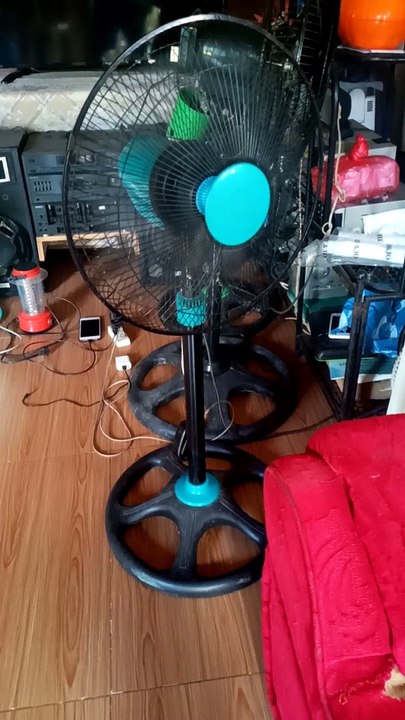 fan