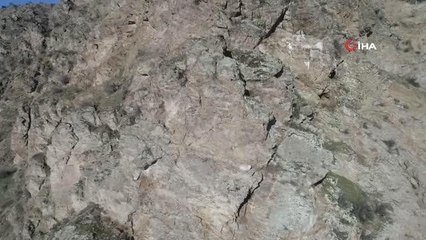 Kayalıkta mahsur kalan keçiyi AKUT kurtardı