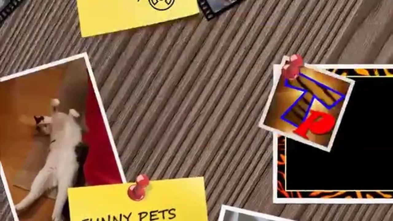 The funniest and most hilarious ANIMAL videos _1 - Funny animal compilation - Watch _ laugh_(360P)