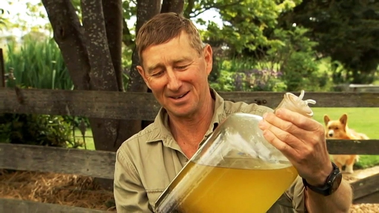 Tas. seaweed trial for livestock to eliminate emissions