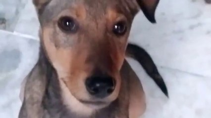 What he was doing below there found something suspicious??