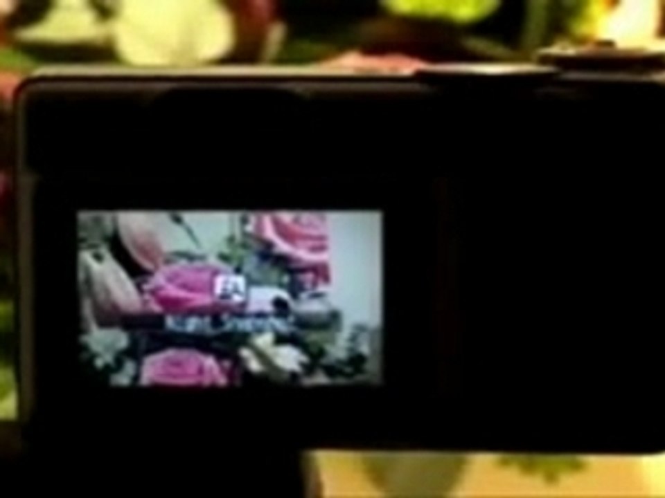 Canon Powershot A550