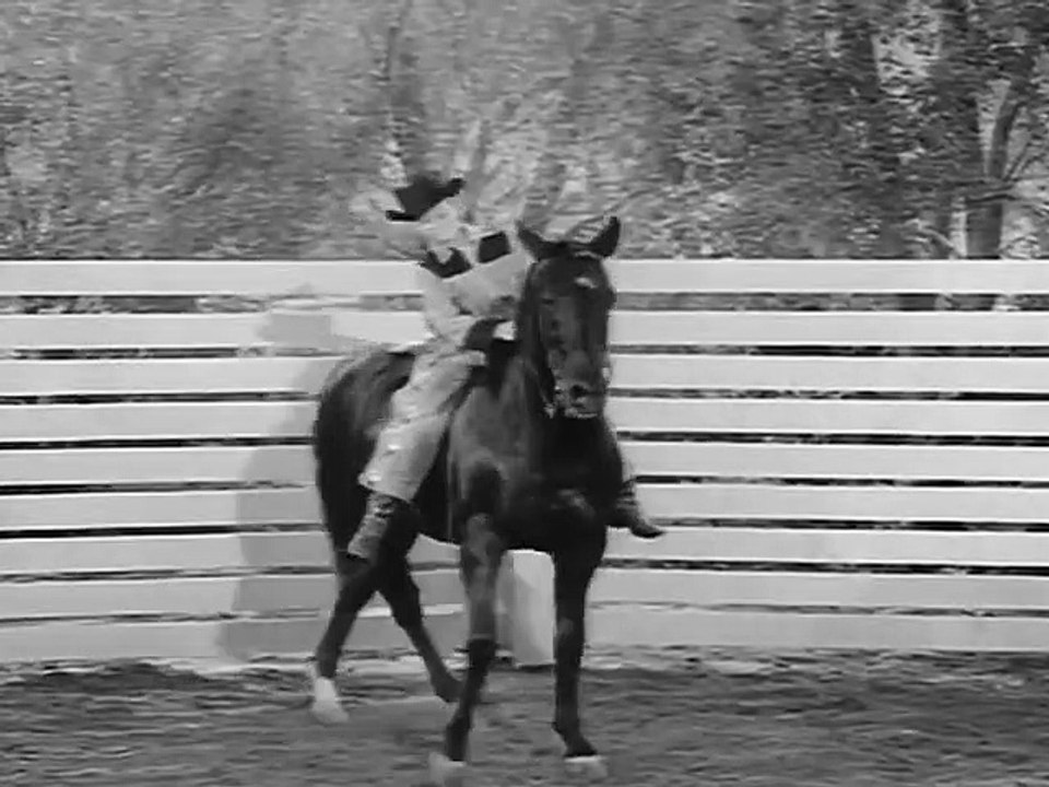 Fury | Season 1 | Episode 11 | Junior Rodeo | Peter Graves | Bobby Diamond | William Fawcett