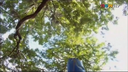 สารคดี คนเสี่ยงภัย ตอน ตามรอยเต่าจระเข้