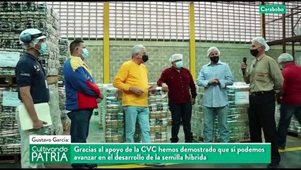 Cultivando Patria 07MAR2021  | Empresa Nacional del Café: producción y clase trabajadora comprometida