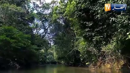 إنخفاض الأكسجين في الغلاف الجوي يهدد الحياة على سطح الأرض