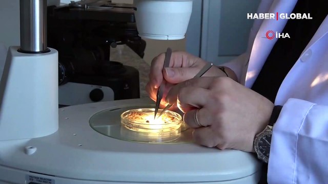 Sinop'ta heyecanlandıran keşif