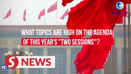 Buzzwords of 2021 China 'two sessions'