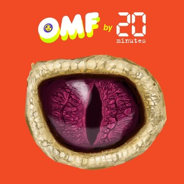 Théories du complot : pourquoi certains croient que des reptiliens gouvernent la planète ?